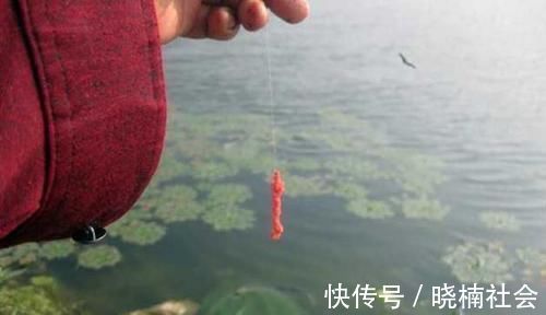 冬钓鲫鱼民间特色饵料,多种蘸饵钓配方汇总,最适合钓大鲫鱼使用