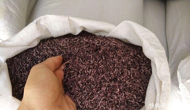  全世界“最贵的”食物！吃一口一个车没了！“王健林”表示有压力