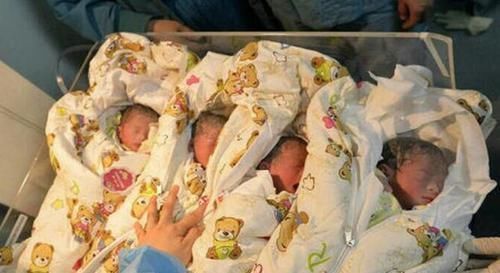 全家之宝|孕妇产下“四胞胎”,当看到第四个孩子时,医生老四是全家之宝