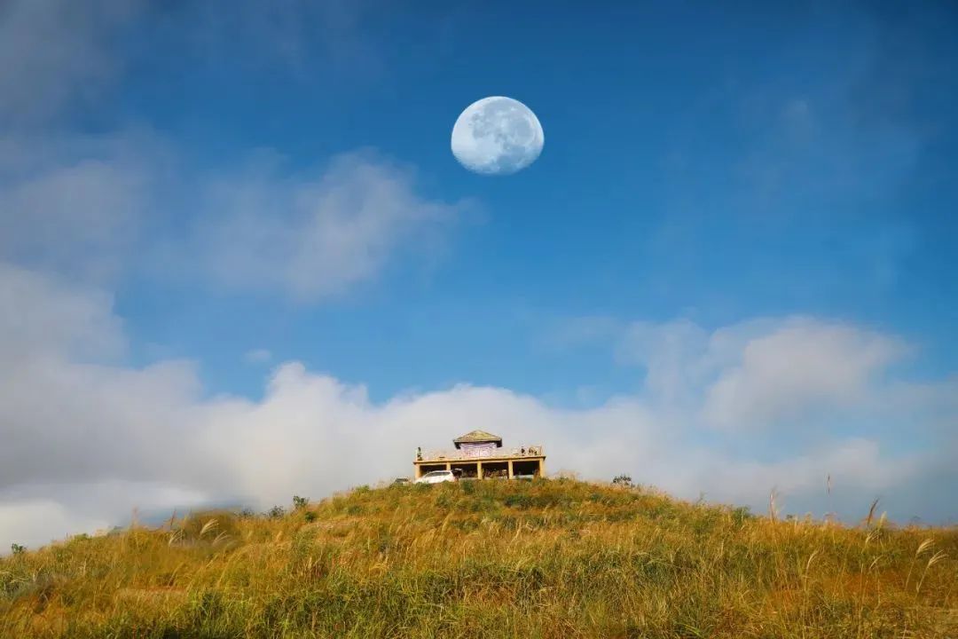 星空|芦花飞“雪”！秋末初冬的限定美景，再不来打卡可就要错过啦！