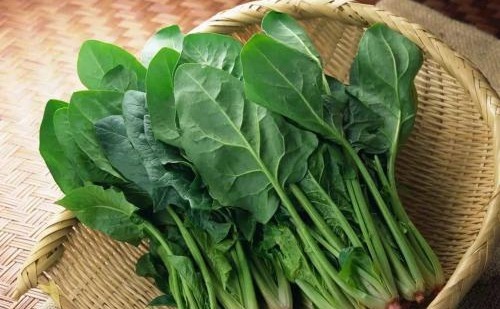 菠菜|想长寿先养生,四种食物换着吃,补充营养,软化血管,老人最爱吃