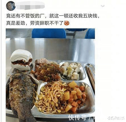 好好学习|“在拼夕夕上买了驱蚊手环，这蚊子是怎么回事？