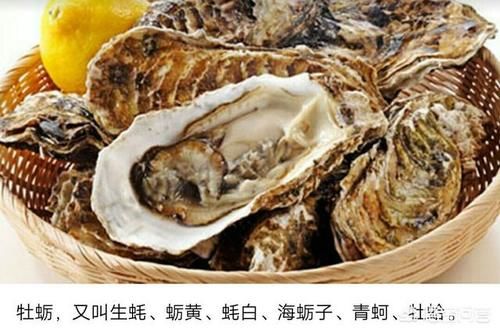 孕妇|孕妇能不能吃海鲜食品？有些人说不能吃，这是为什么？