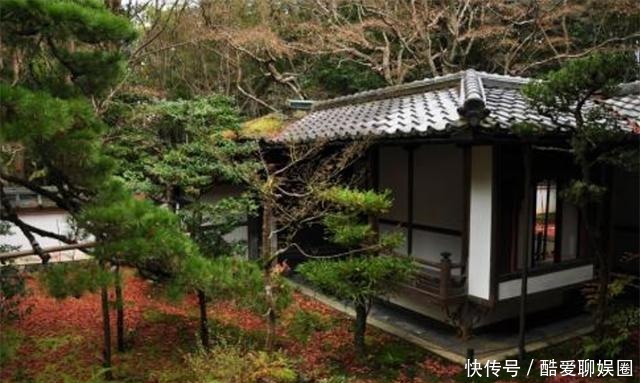 江户|从日本江户时代特色文化来谈谈落语的衰落