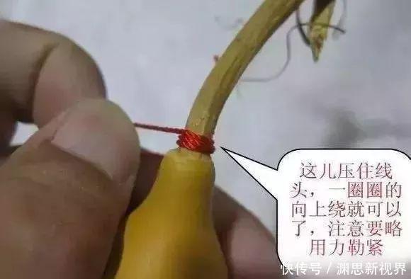 葫芦龙头有什么讲究文玩葫芦龙头怎么处理最好