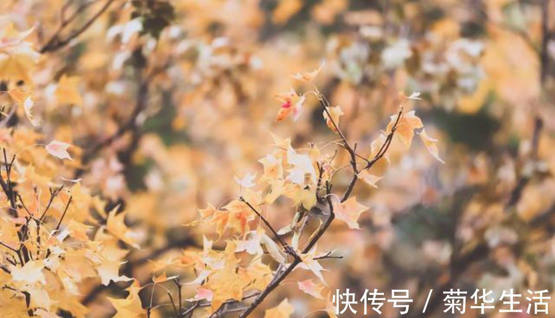 一种心情&杜牧最唯美的一首诗,通篇美得犹如一幅画,怎一个美字了得