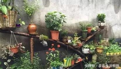 别再花钱买花盆了,将它们一处理栽种花草,个个都美得独一无二!
