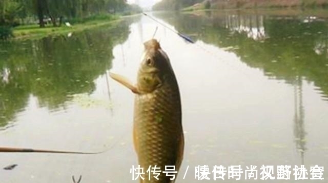 钓位|半天不上一条鱼,原来钓位选错了!这4处位置一定不要选