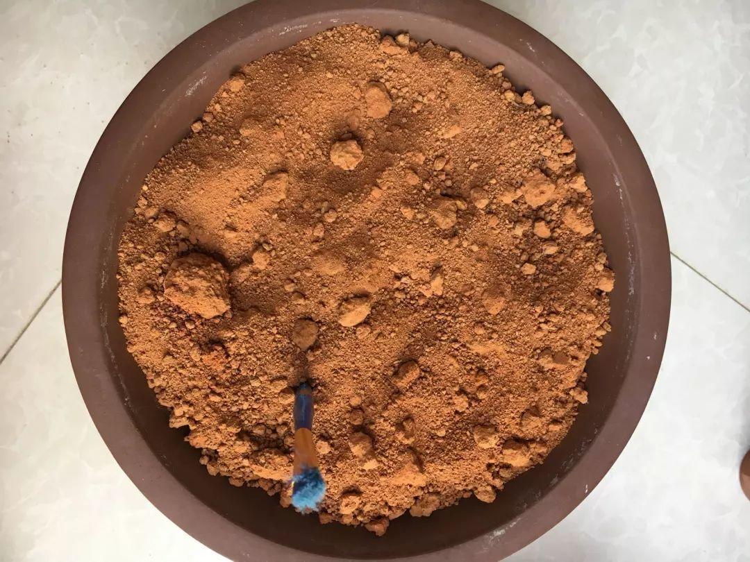 “蚯蚓粪”养花也不赖,增粉还透气,啥花都能养好!