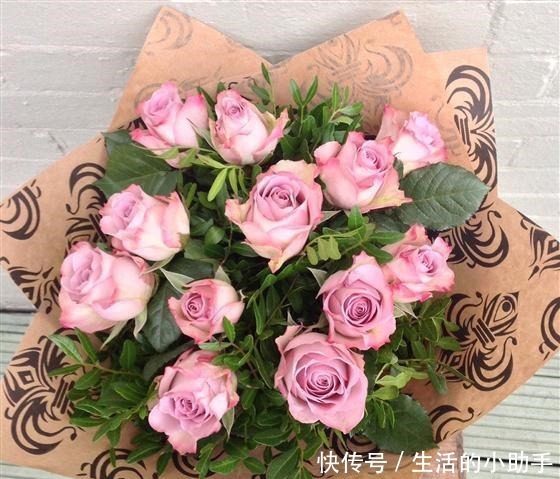 25款包子型月季,花开永不败,大花好养又丰花,新手推荐种植!