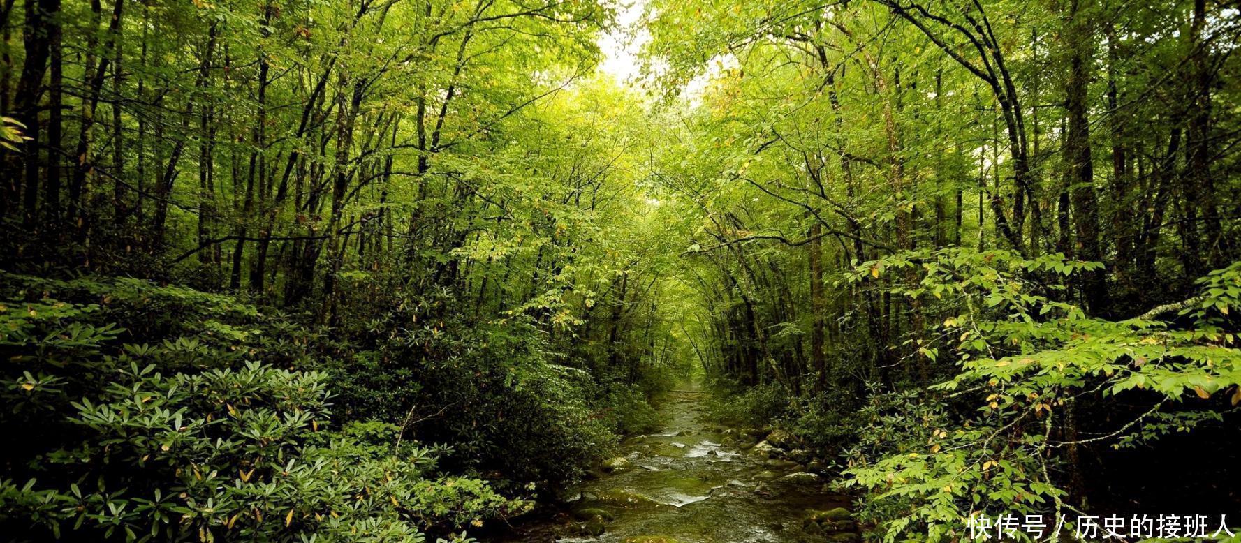 杜甫|千古绝对! 上联 “弓虽强怎敌我智知日”, 下联太经典了!
