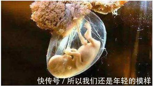 中外健康文摘|孕妈这些行为,可能会影响胎儿的生长环境——羊水,别大意