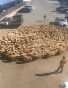 |搞笑GIF:妹子这着装看起来真是让人无所适从啊,就不觉得尴尬吗