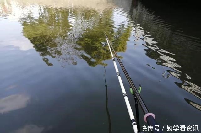 水草|大鲫鱼藏在哪这5个地方都是鱼窝,看你错过了多少鱼