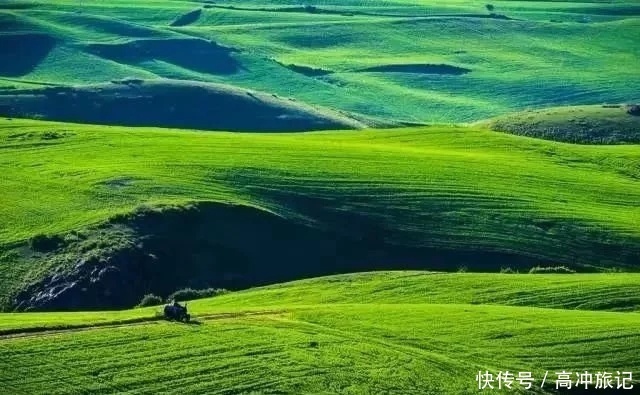 新疆旅行,一颗天山脚下的新星,一个高山麦田小众草原