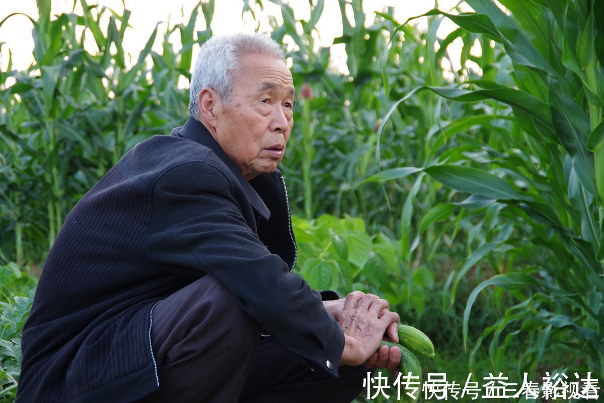 儿媳妇|人到晚年才明白,老人想要住在儿子家,需要满足3个条件,很准