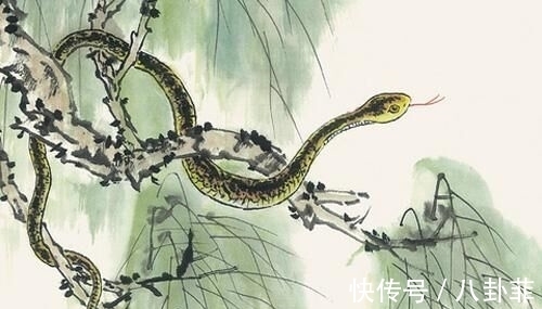 生肖|步入年底,吉星关照,财源滚滚,开启幸福生活的3生肖