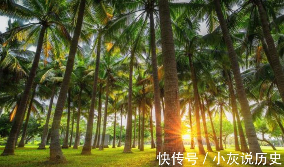 银河补习班|为人父母，不与孩子争吵是一种智慧