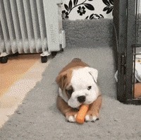 |搞笑GIF:从姑娘的眼神里,感觉你俩之间不简单呀!