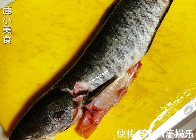 鱼肉|春季碰到这鱼必买一条，比甲鱼滋补，比鲫鱼营养，炖汤鲜又甜