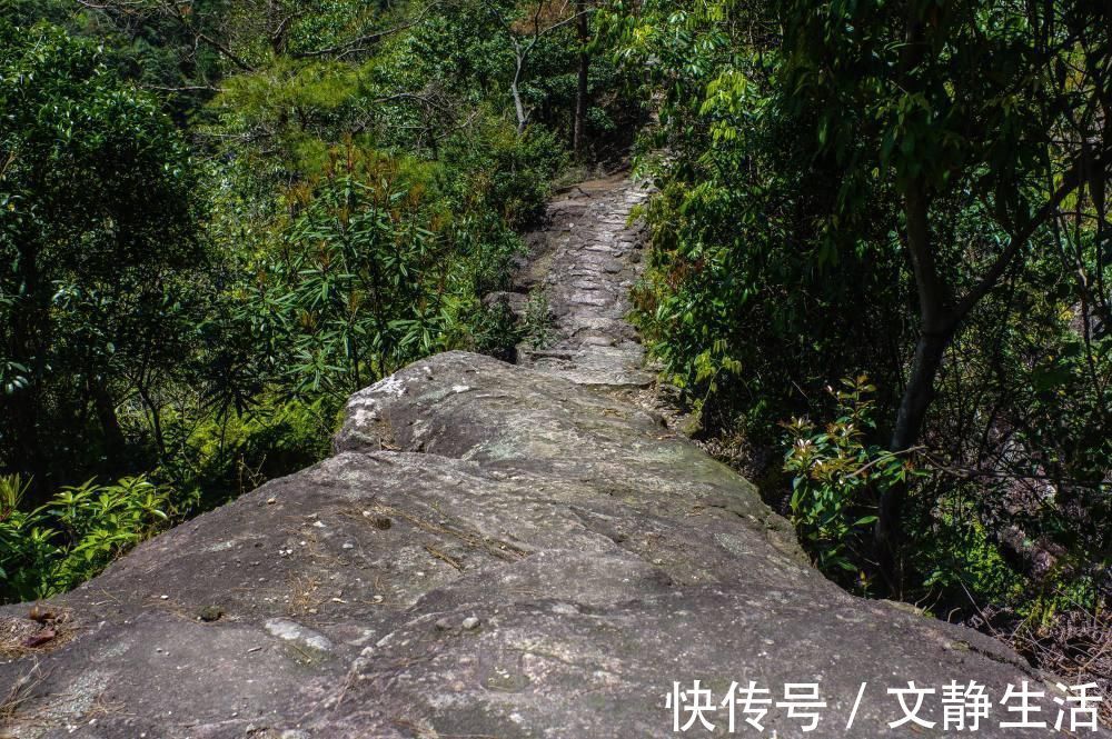 雁荡山|雁荡山深处的绝美秘境，山路崎岖、风景绝佳，去过的游客很少