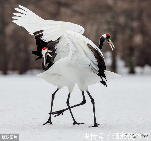 失眠|60岁以后,5件事不得不怕、不得不防!记住,并转告给老友们