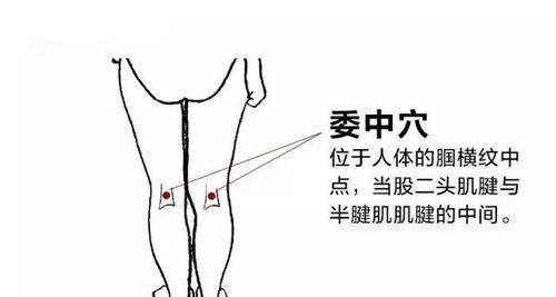 长寿|我们身体上都自带着10个“长寿窝”,经常按一按,预防生病