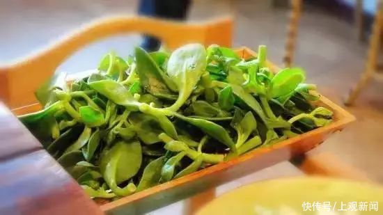 冬末春初百病起，想要疾病不粘身？趁早吃点“苦”