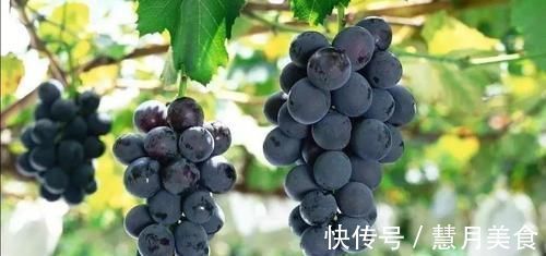 萃枫苷|老年痴呆很可怕?其实预防原来很简单,99%的人不知道还能这样做