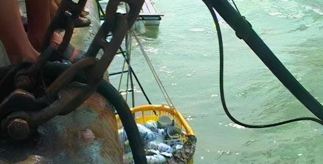 海底|真有海底宝藏康熙沉船5万件青花瓷,市值5亿美金无压力