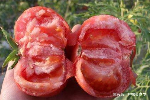 含有|西红柿好吃营养,每天吃1个,4个好处便会“从天而降”,早知早好