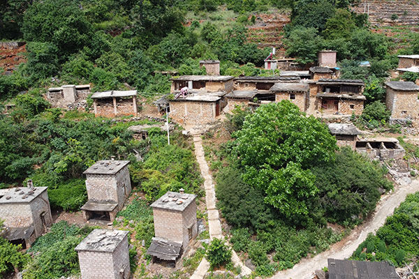 菜豌豆|“坡改梯”造土地 老寨子变新“景区”