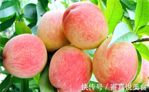 鲍鱼|女性不想老太快,多吃4种食物,补水润肤,延缓衰老,早吃早好