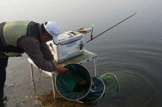 气温一低,鱼口就不好,这破解招式百用百灵,有了它,分分钟解决