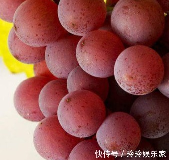 果酸|爱吃葡萄的人,长寿不会远离你,但吃葡萄有1大禁忌,要了解下