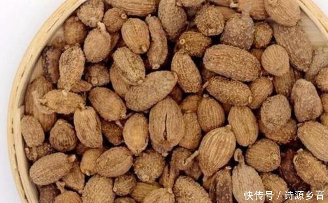麻辣卤水|了解食材从这里开始，香料大全与用途，美食爱好者首选