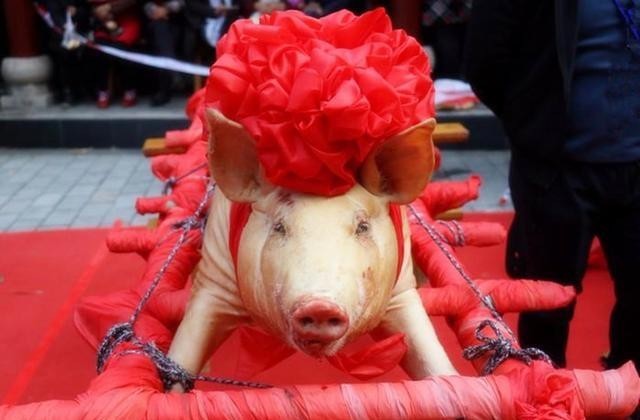  得罪|这个皇帝下了一道奇葩命令，竟然连祖先都得罪了，一年后驾鹤西去