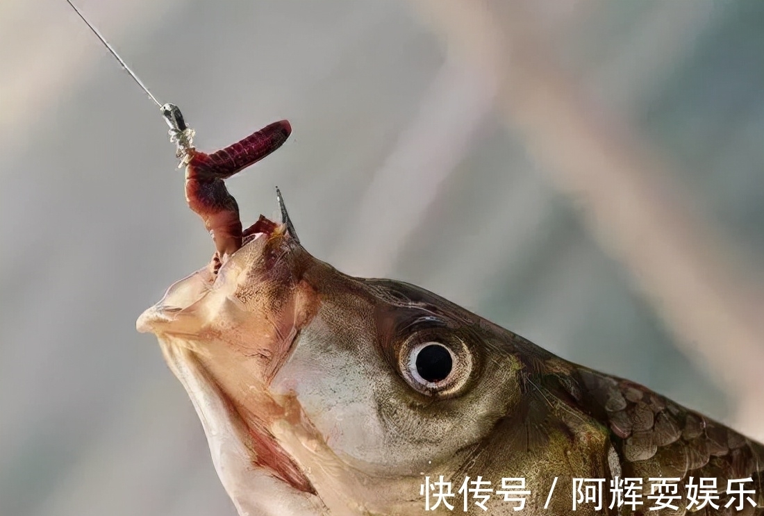 霜降之后就入冬,到底怎么做,才能让我们的渔获更好看一些