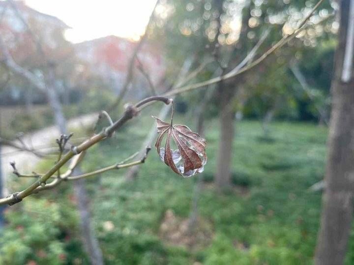 情报站|用心去迎接每一个变换的季节