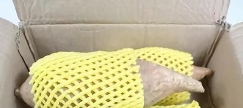 我家一直这样保存红薯，久放不腐烂不发芽，越放越甜现在知道不晚