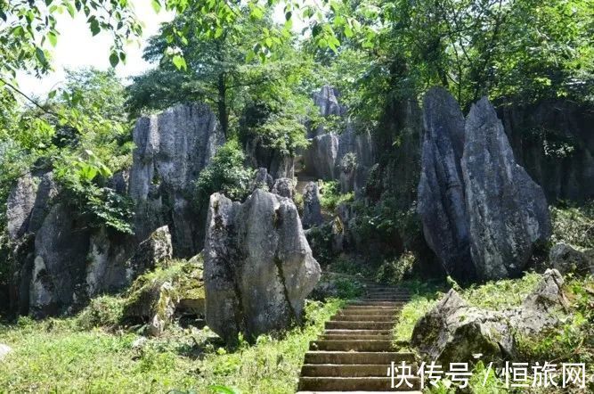 从哪一站上车，开往故乡……|旅博动态 | 示范村