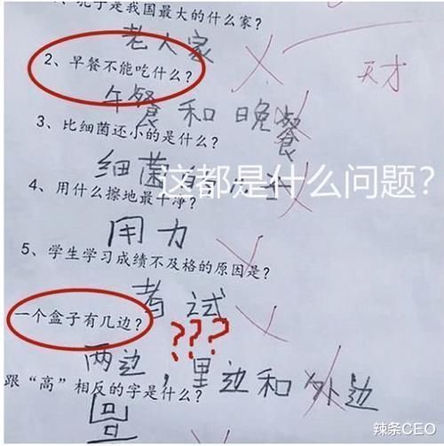 小学生“连一连”火了，老师打叉，网友却反怼：这题怎么错了？