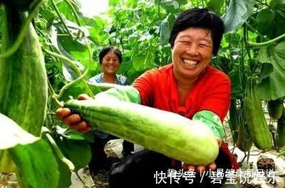 功效|立秋后,晚上当零食吃几片,能保肝护肝,降血压,常食更显年轻