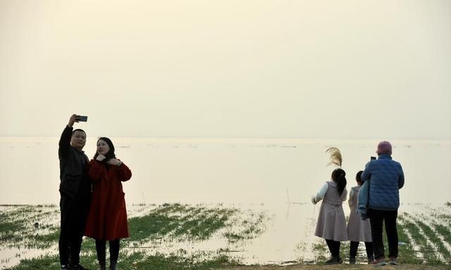 背面|黄河滩成春节游玩打卡地,每天数百人涌入,荒草地被踩成光滑路