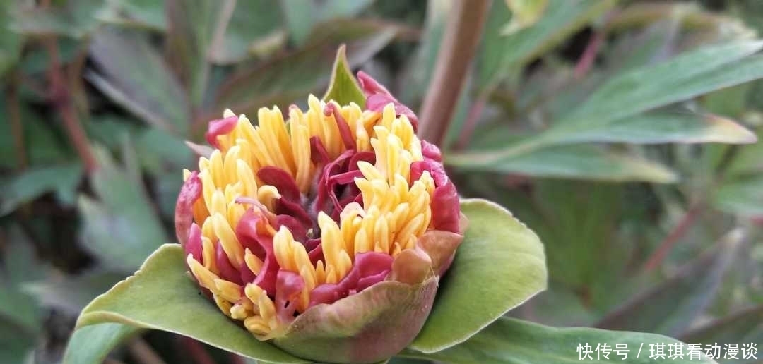 办事|曾国藩:不要多管闲事,有福不可享尽,有势不可使尽