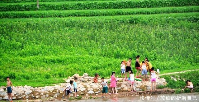 有钱人|朝鲜有钱人最喜欢吃的东西, 中国普通百姓经常吃!