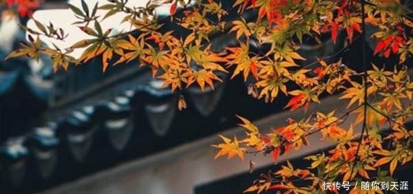  全家|扈三娘花容月貌，背负血海深仇，为何会嫁给又丑又矮的王英！