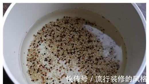 蒸蛋器|用它替代米飯，一碗等于10個蘋果，是超模的最愛，腰肢纖細！