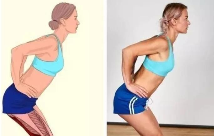 肌肉|全身拉筋3D图解,一步到位,在家也能强身健体