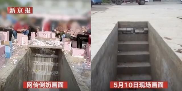 后援会|倒奶打投的背后,粉丝们的钱最终进了谁的腰包?